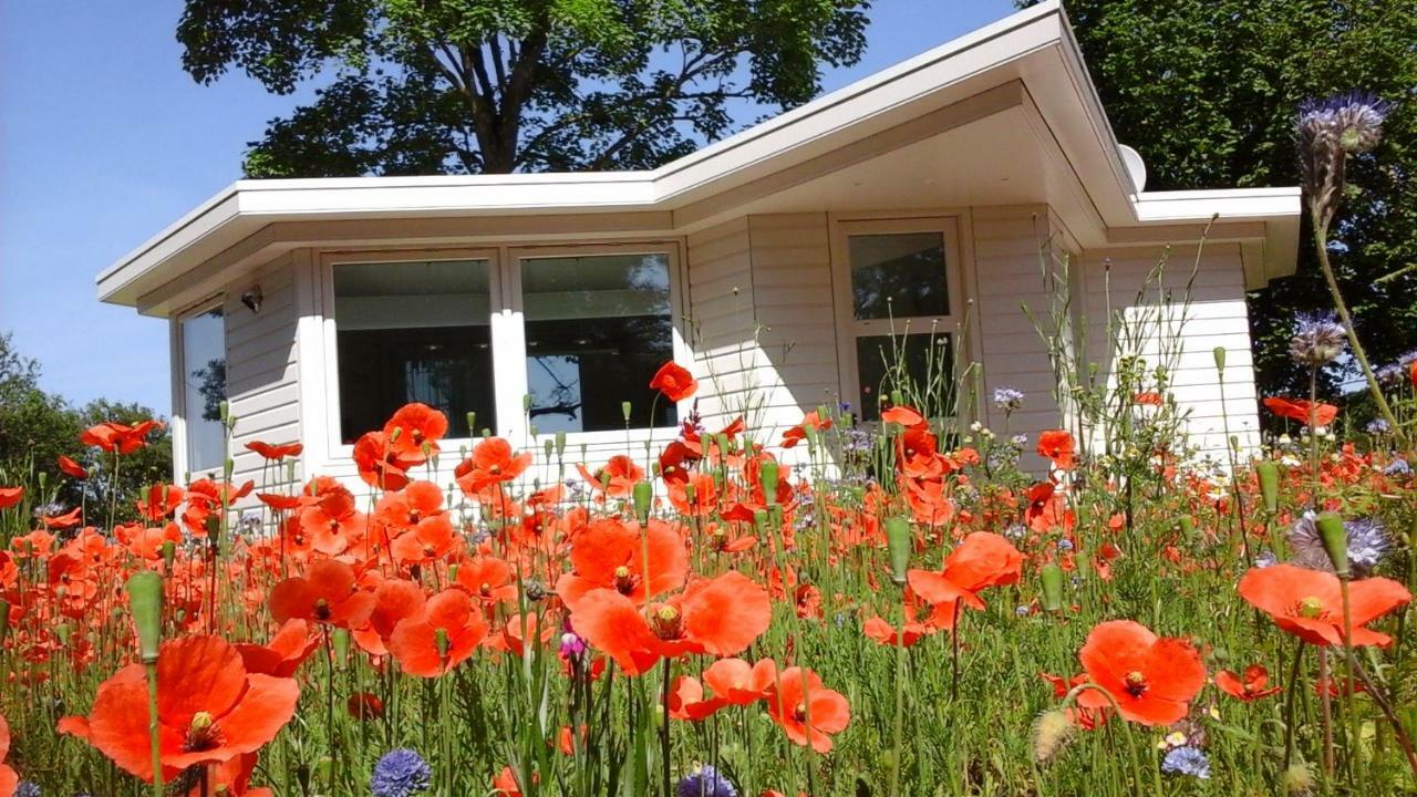 Het Findament Tiny House Villa ฮิลเวอร์ชุม ภายนอก รูปภาพ